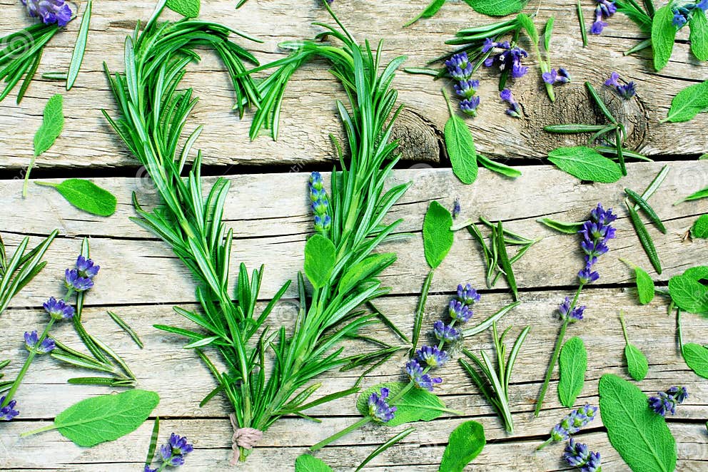 Different herbs on wood stock photo. Image of lavender 35297064