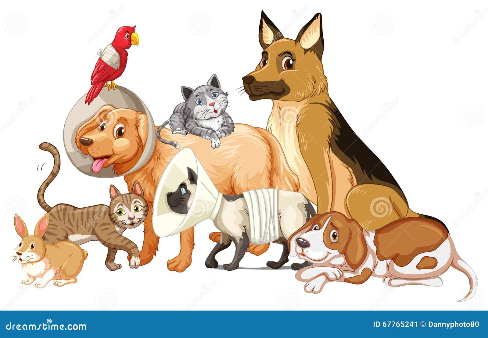 Different Kind of Pet Being Hurt Stock Vector Illustration of