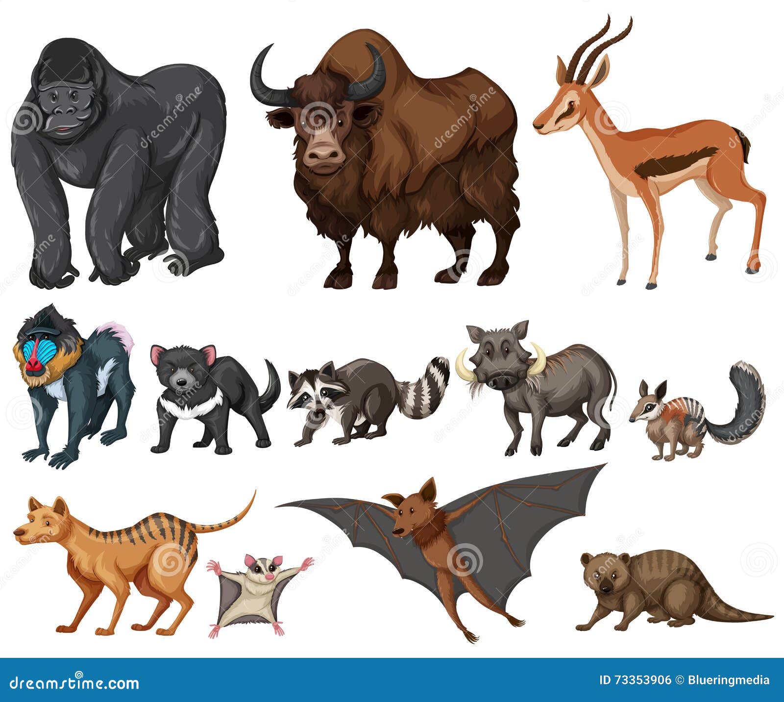 Different Kind of Wild Animals on White Stock Vector - Illustration of  animal, clip: 73353906