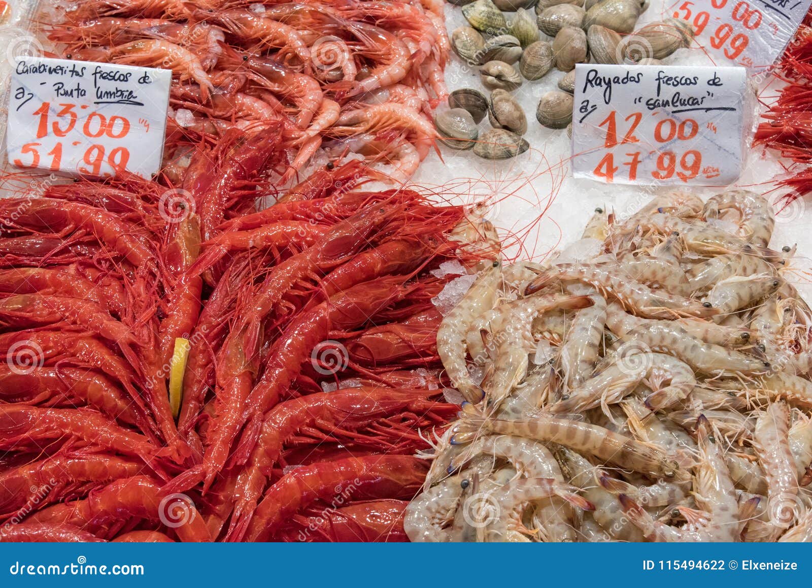 different kinds of prawns