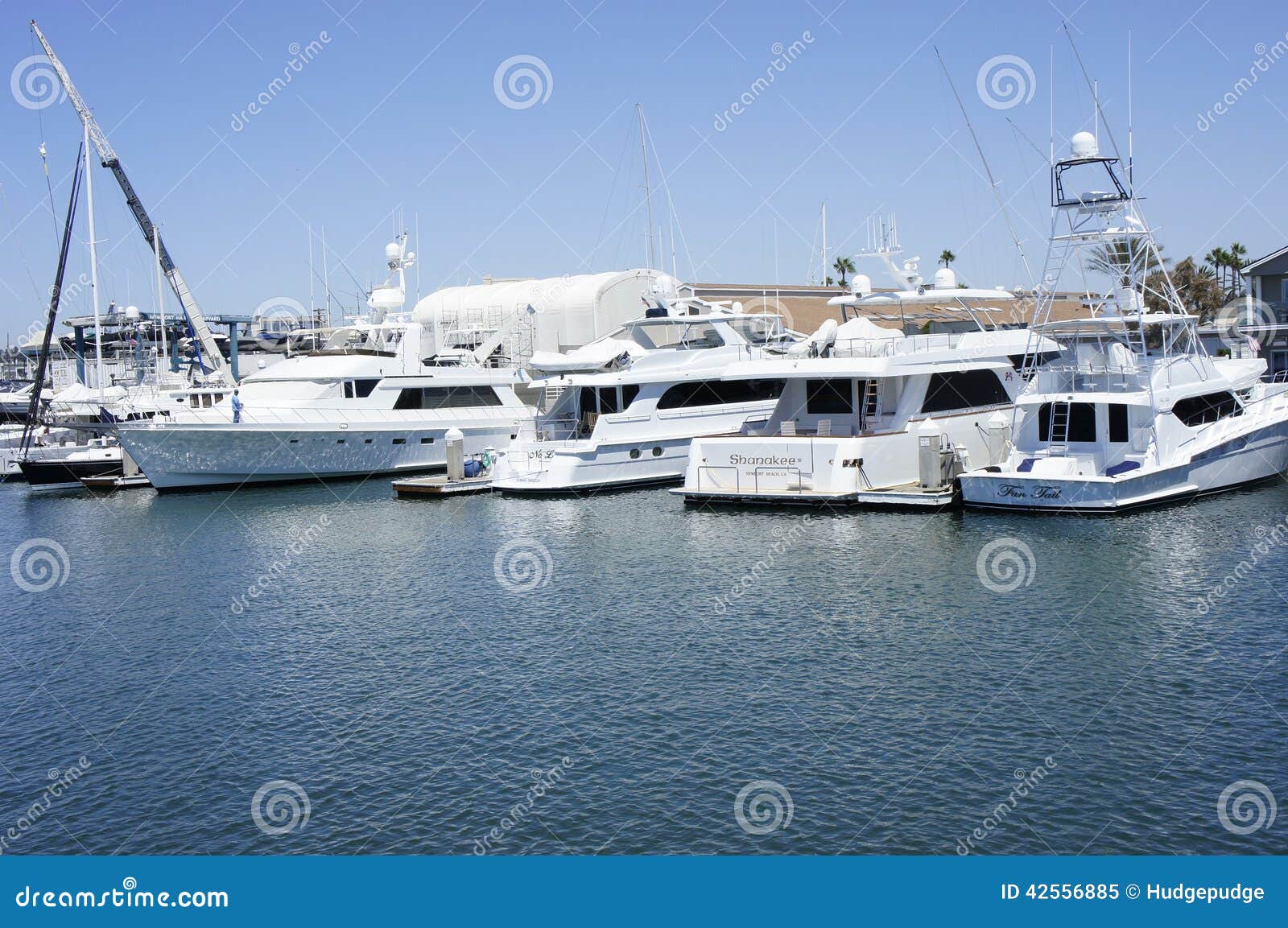 Different Kinds of Speed Boats Editorial Image - Image of clouds ...