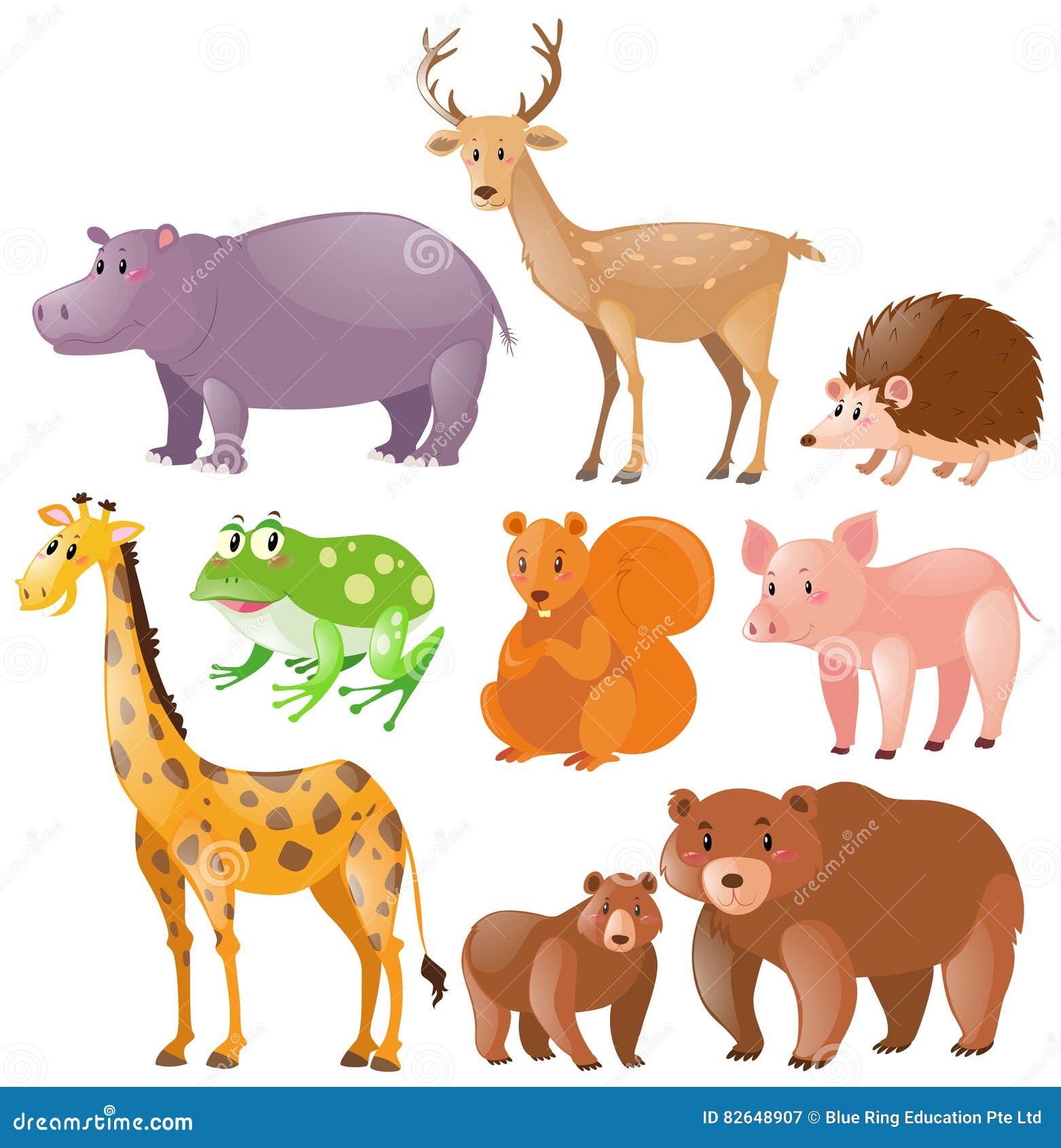 Different Kinds of Wild Animals Stock Illustration - Illustration of  exotic, deer: 82648907