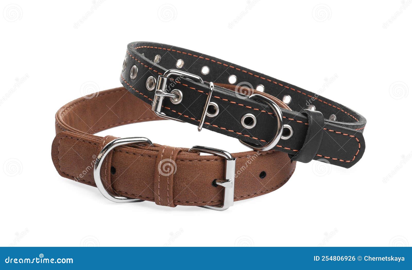 Different Leather Dog Collars on White Background Stock Photo Image