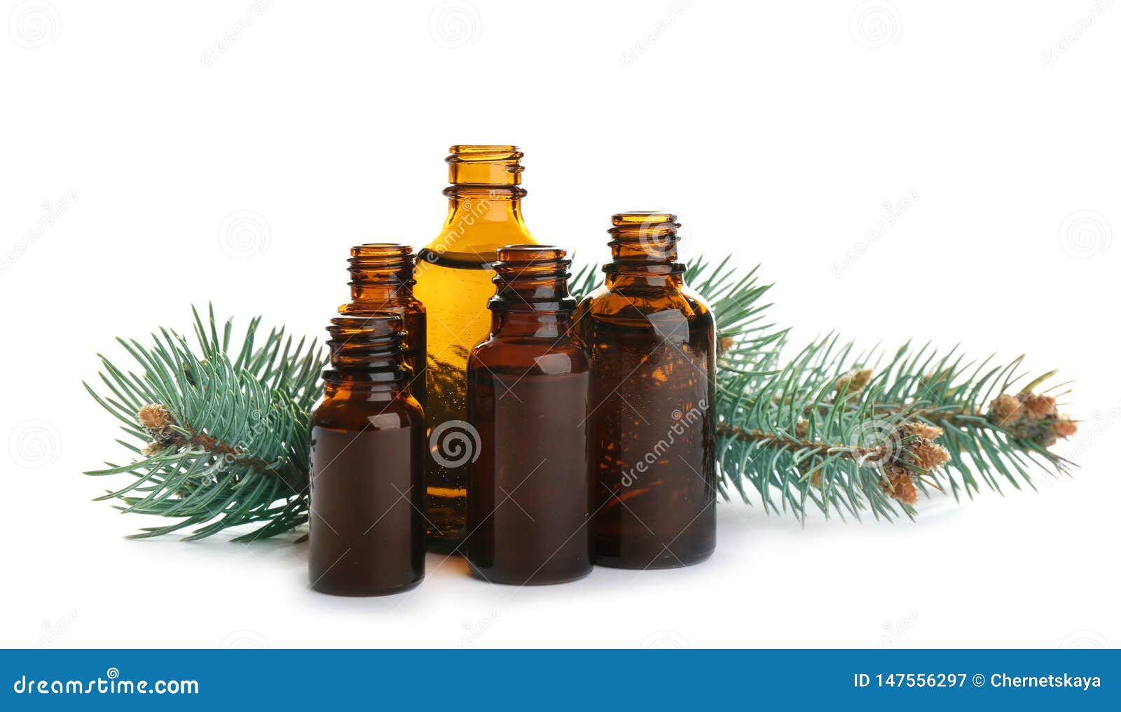 Different Little Bottles with Essential Oils and Pine Branches on White