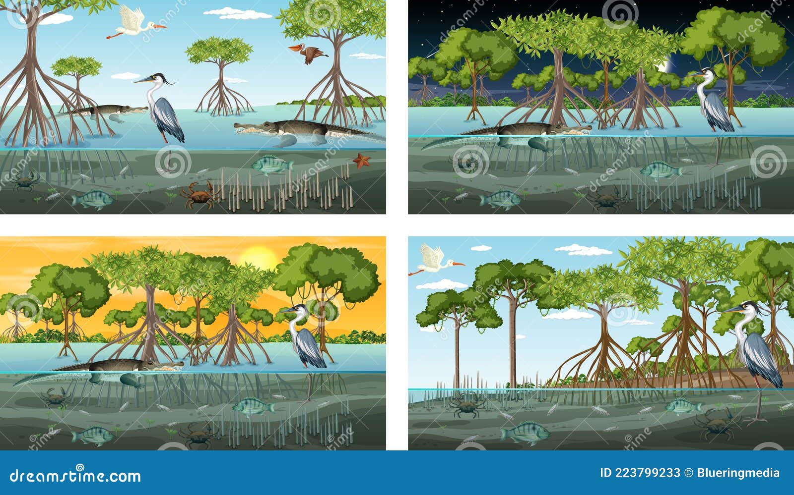 Different Mangrove Forest Landscape Scenes with Animals Stock Vector ...