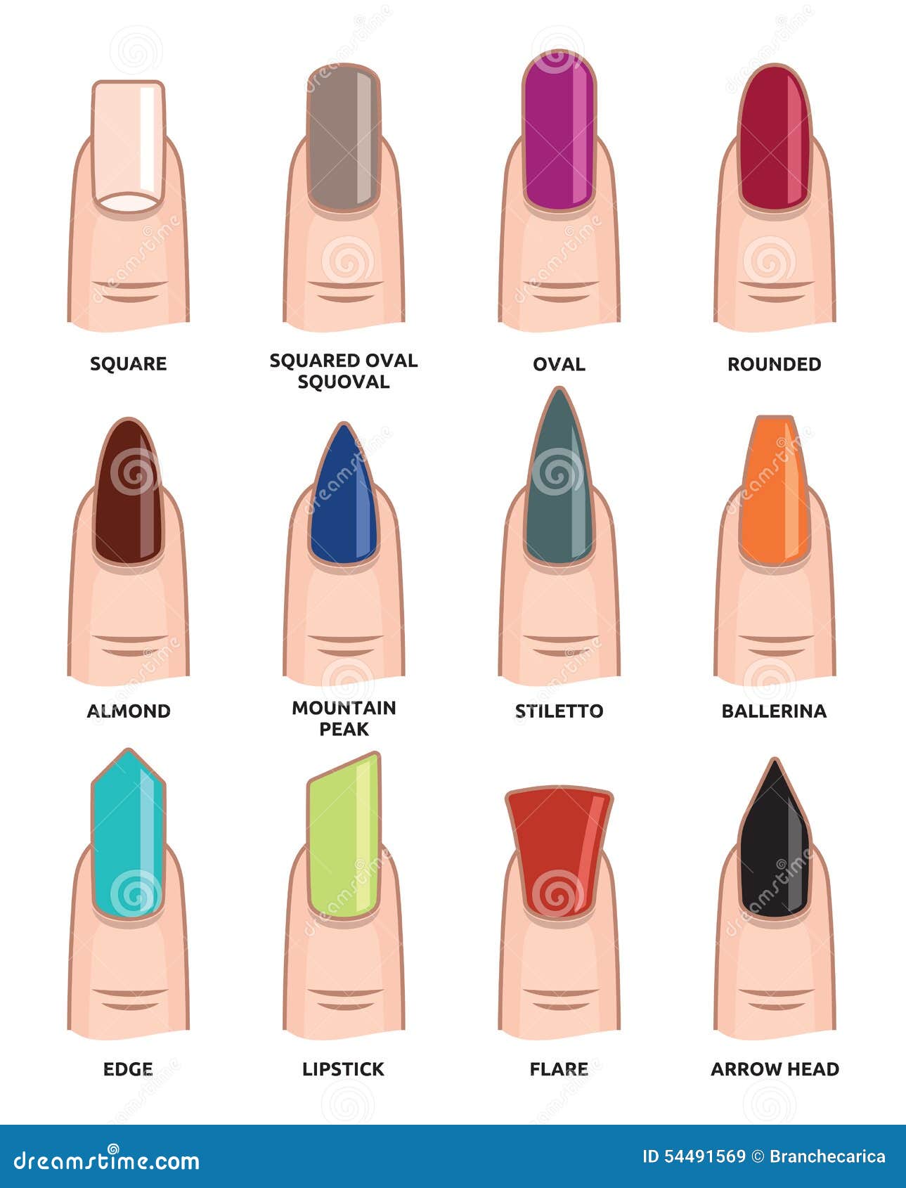 Different Nail Shapes - Fingernails Fashion Trends Stock Illustration -  Illustration of manicure, color: 54491569