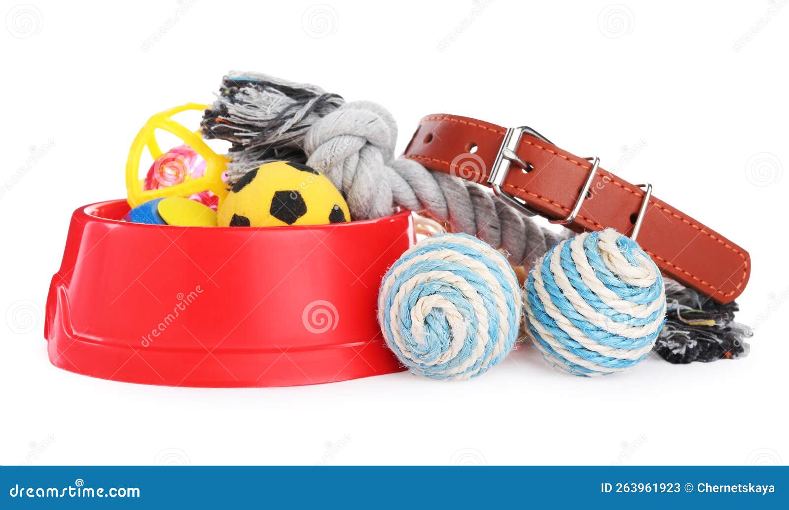 Different Pet Toys and Accessories Isolated on White Stock Image Image of collar, bright