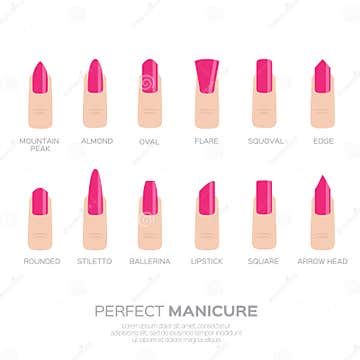 Different Pink Nail Shapes. Stock Vector - Illustration of cosmetic ...