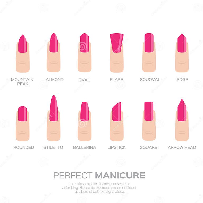 Different Pink Nail Shapes. Stock Vector - Illustration of cosmetic ...