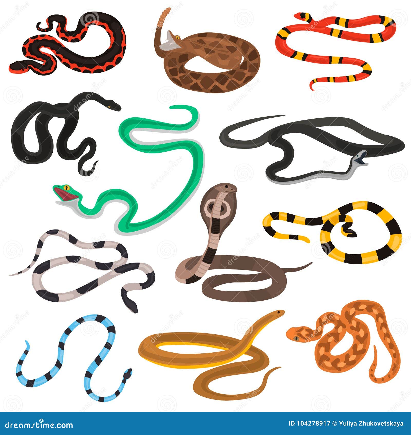different poison snakes color flat icons set