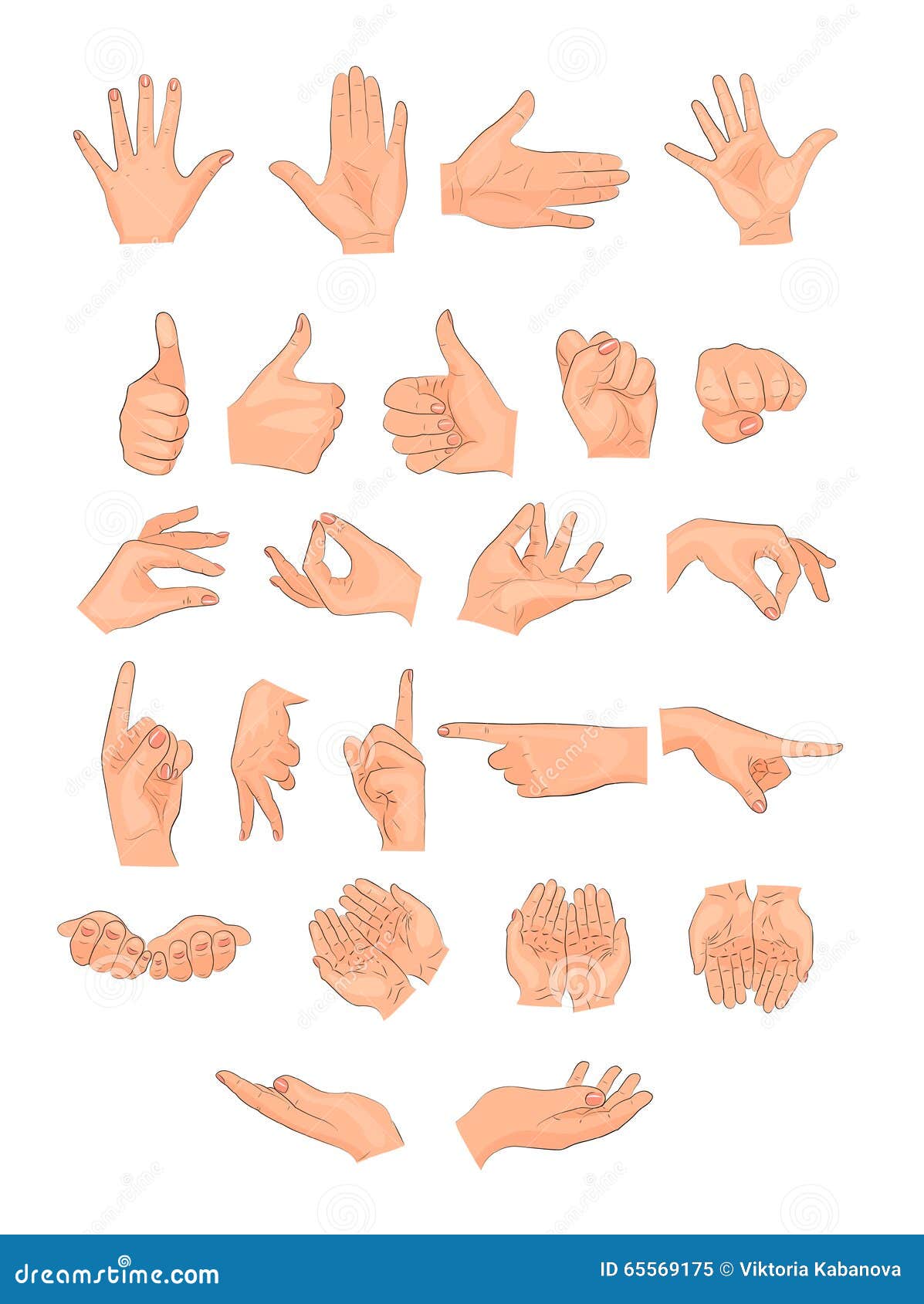 the different positions of the hands