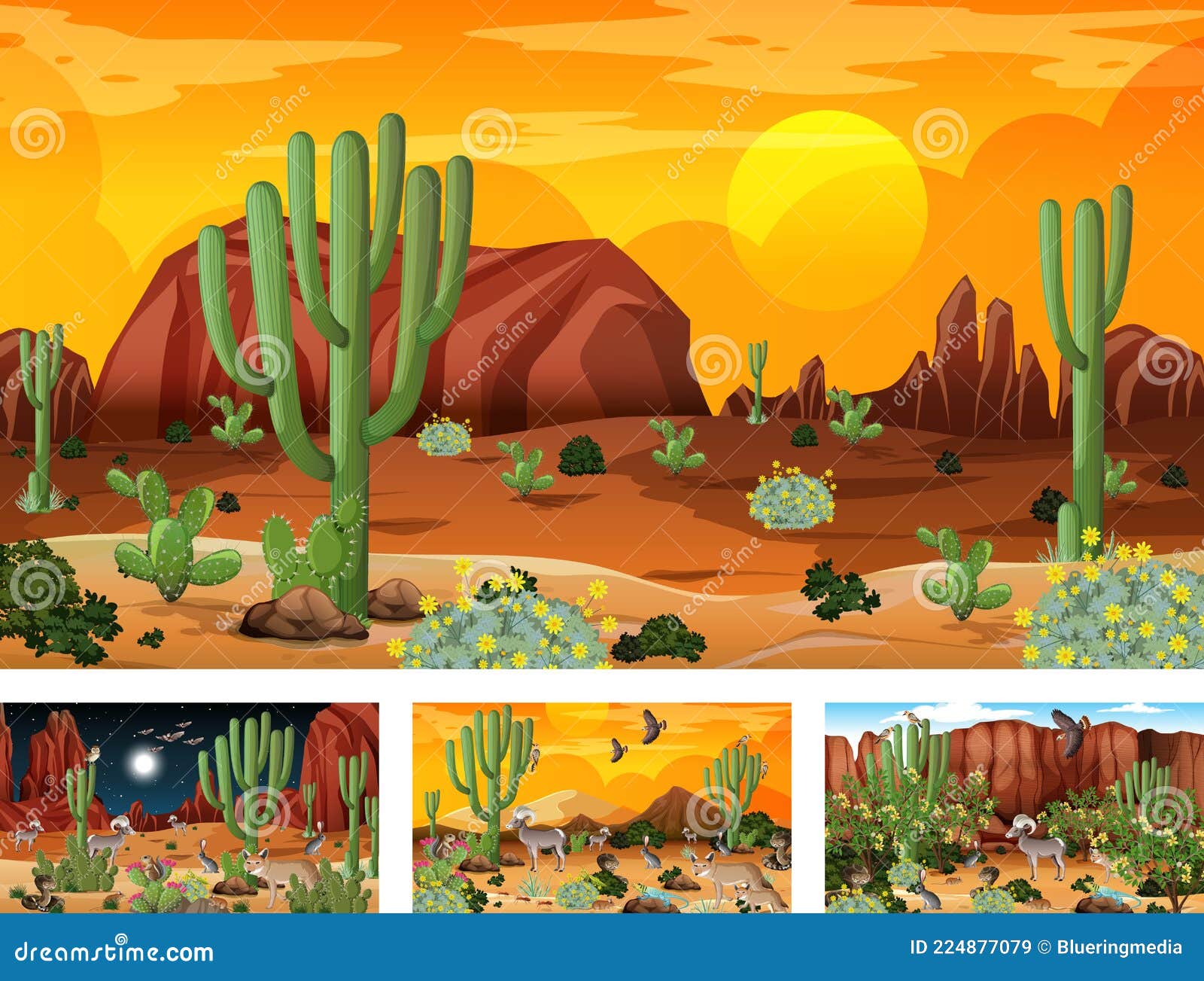 desert ecosystems for kids