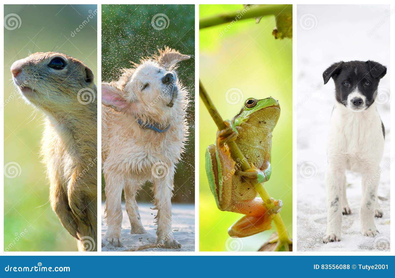 Different Seasons of the Year. Life Cycle Concept Stock Photo - Image