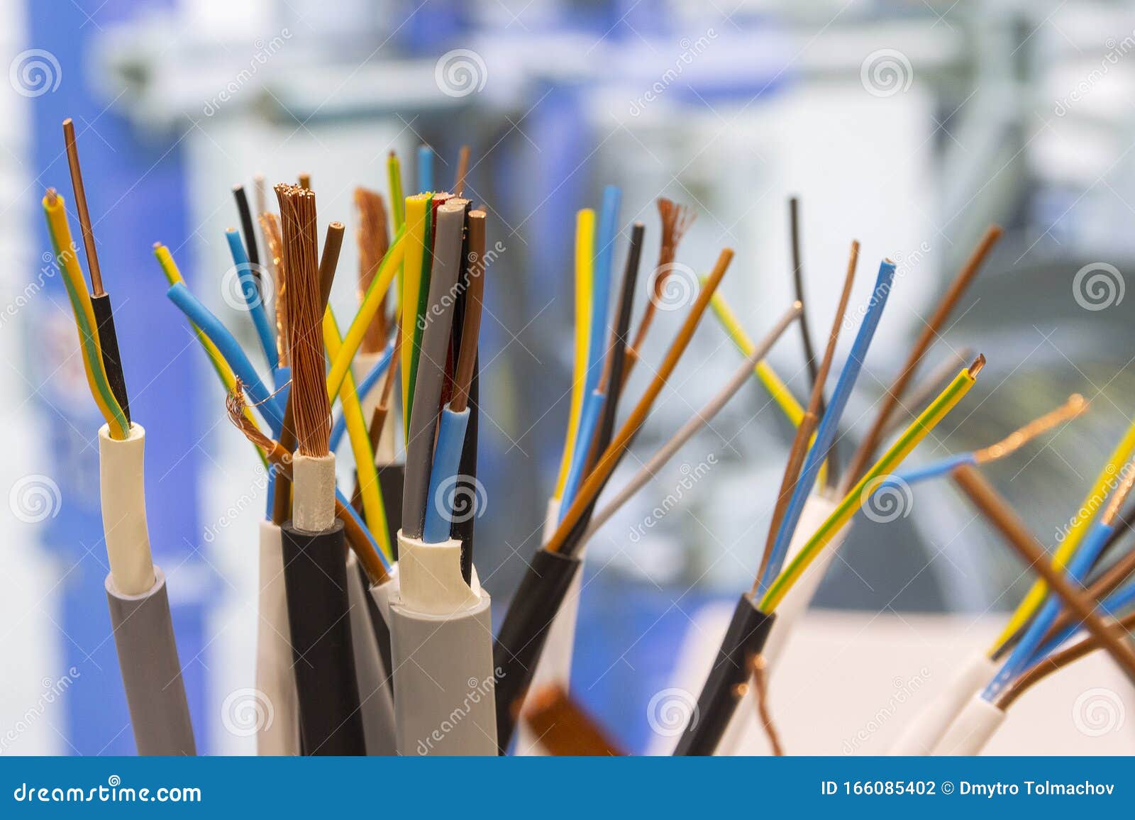 Different Separation Power Cables on the Showcase Close Up Stock Photo