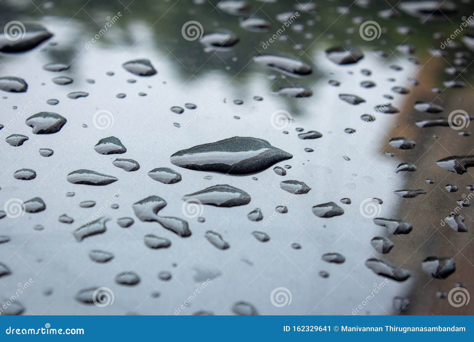 Different Shapes of the Rain Water Over the Freshly Waxed Car Surface