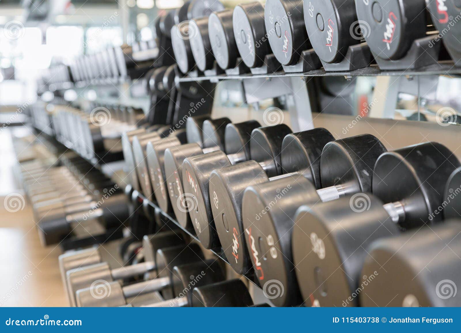 dumbbell free weights at the gym