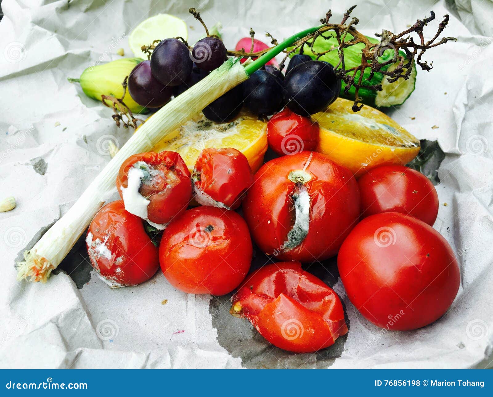 Different Sorts of Rotten Fruit and Vegetables Stock Photo Image of