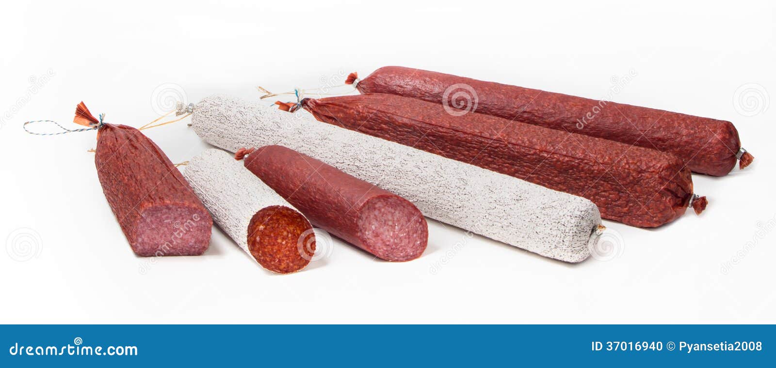 Different sorts of salami stock photo. Image of color 37016940