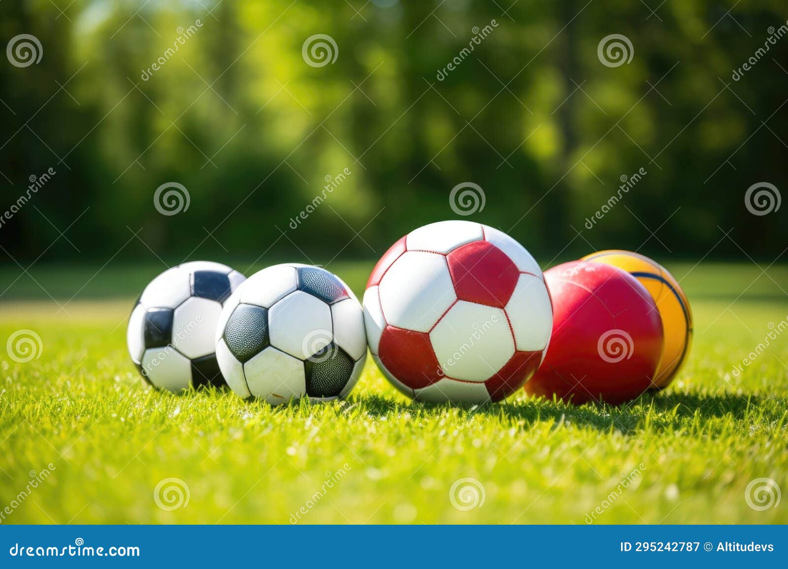 Different Sports Balls on a Grass Field Stock Image Image of