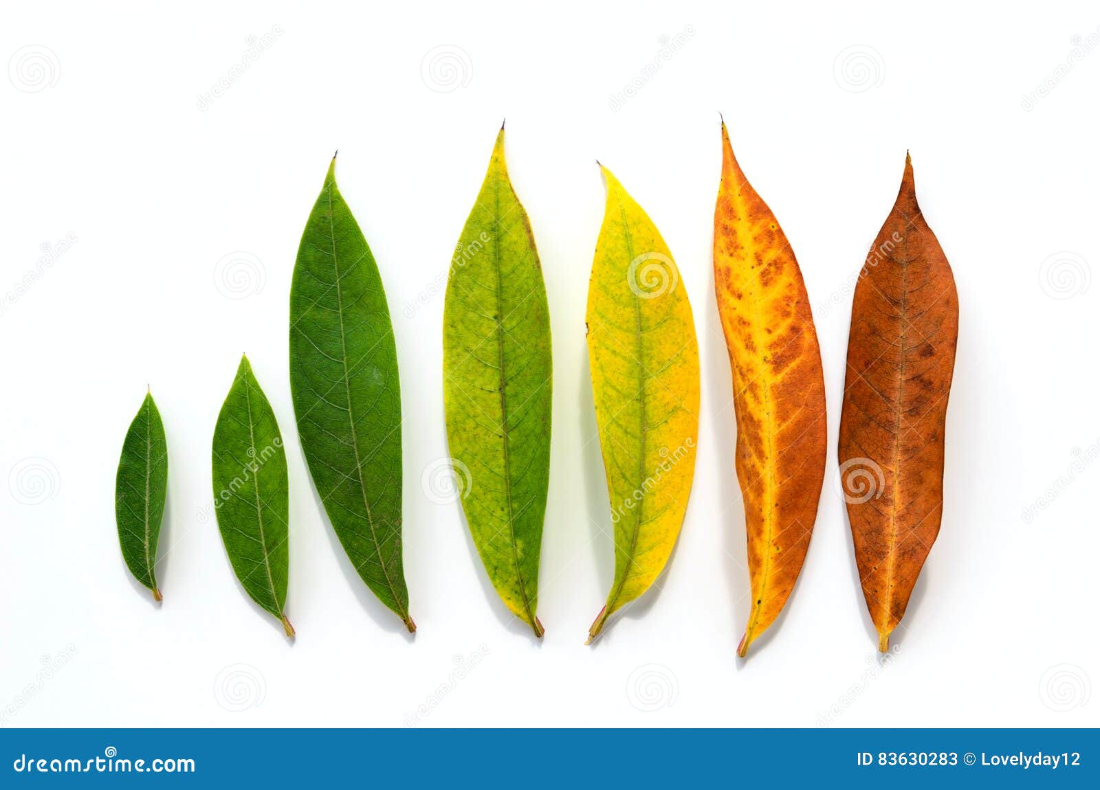 Death Concept. An Ancient Stone Statue Of Crying Angel With Tears In