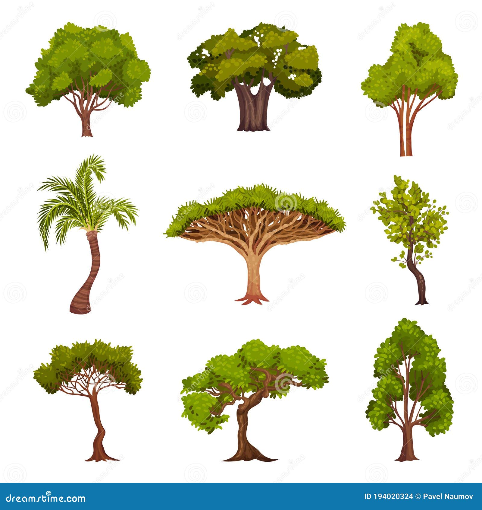 different trees as perennial plant with trunk, branches and leaves  set