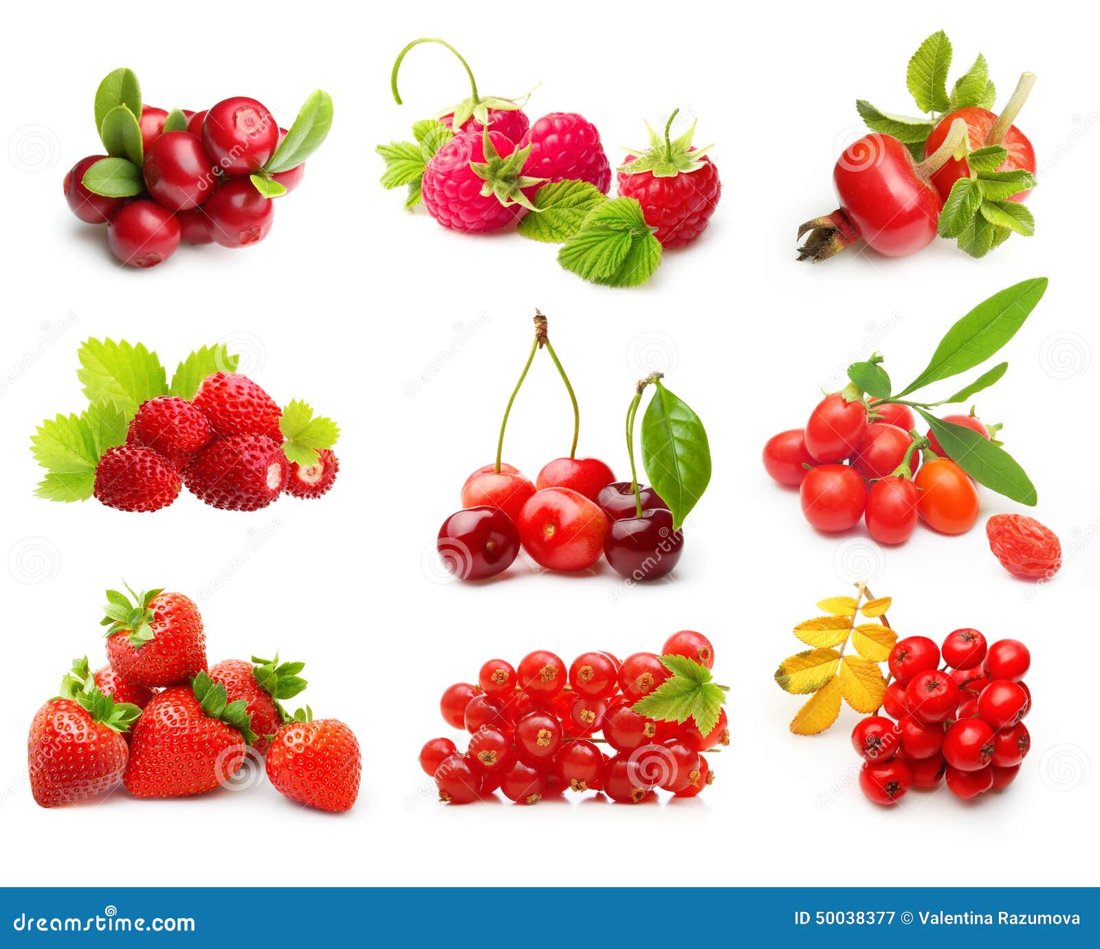 My Image 24