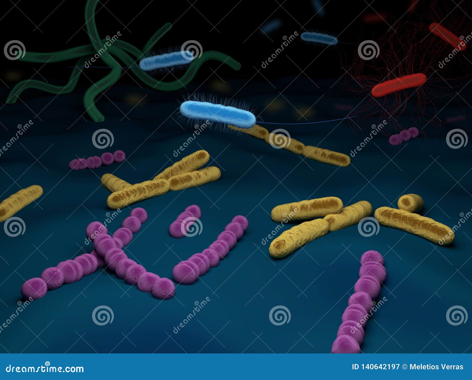 Types Of Bacteria Vector Concept | CartoonDealer.com #129586517