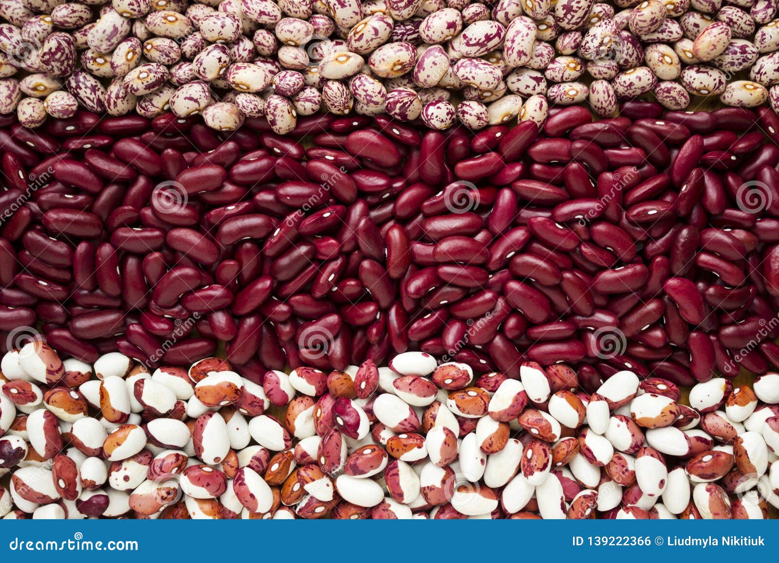 Different Types of Beans Kidney, Variegated Beans, Anasazi