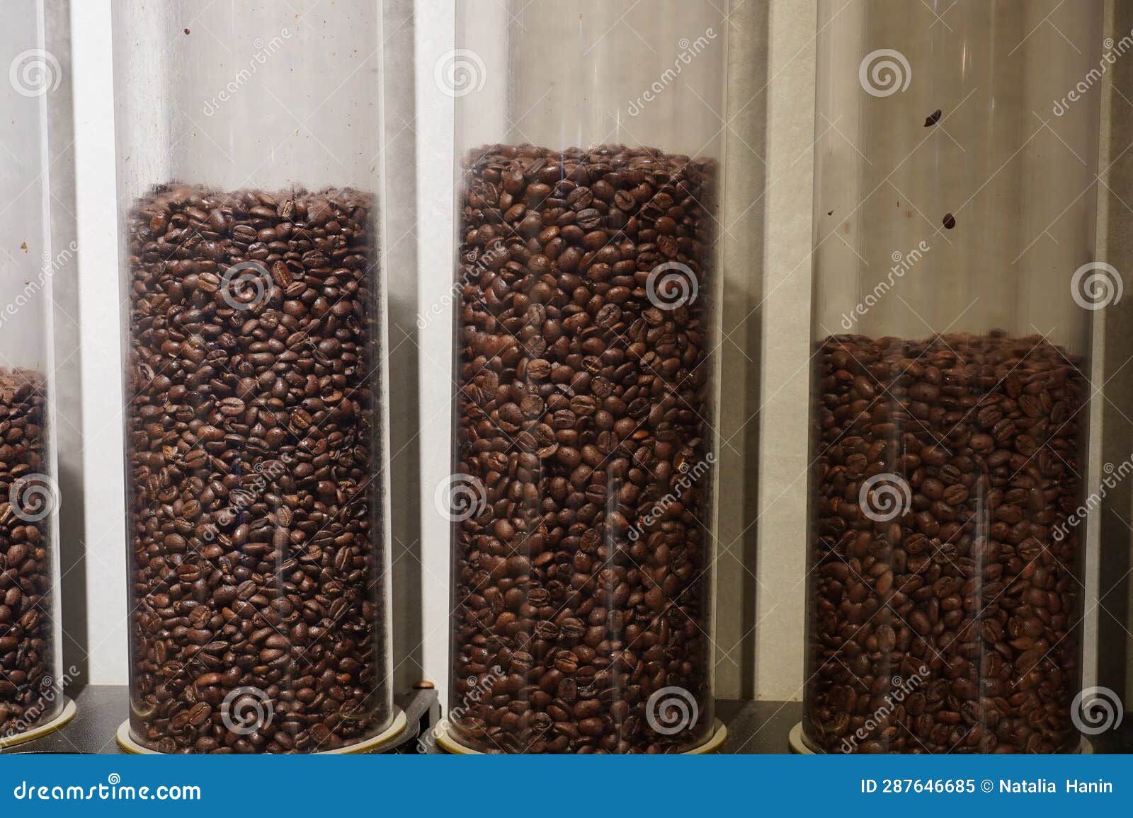 Different Types of Coffee Beans(arabica, Robusta) in Round Containers at the Shop Stock Image