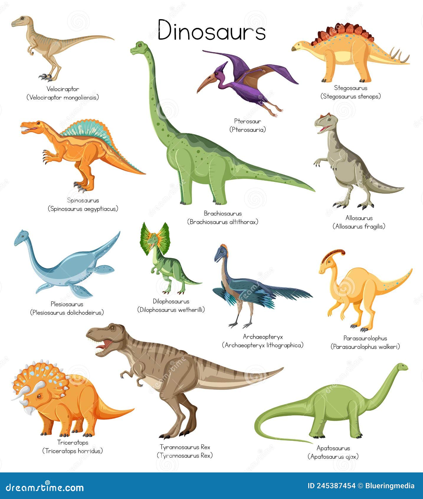 different-types-of-dinosaurs-with-names-stock-vector-illustration-of