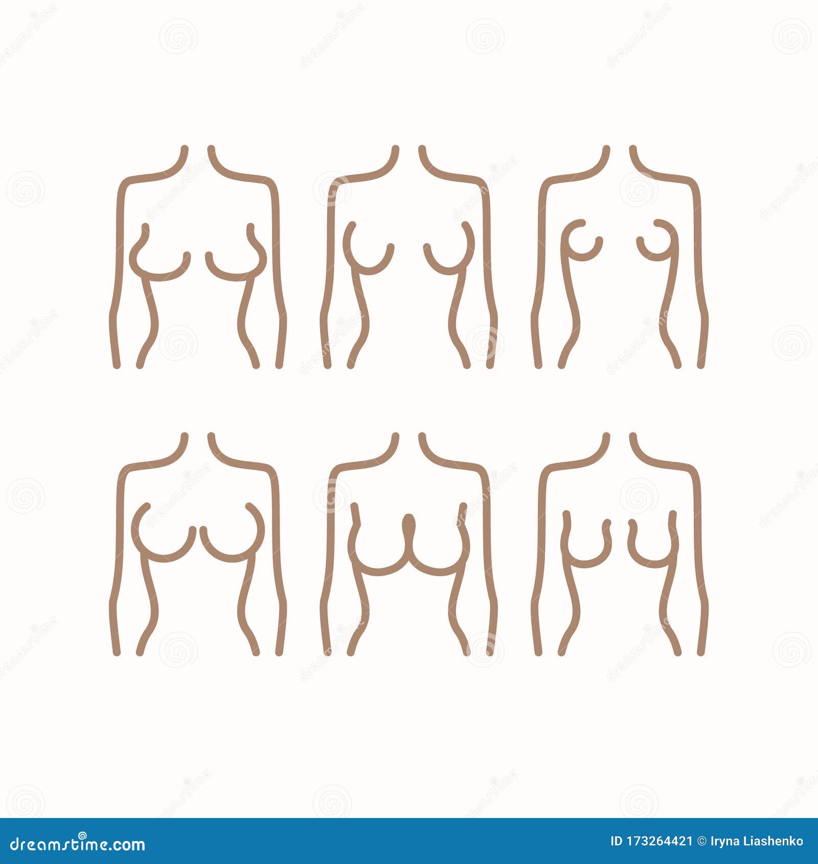 Different Types of Female Figures. Six Options for the Shape of