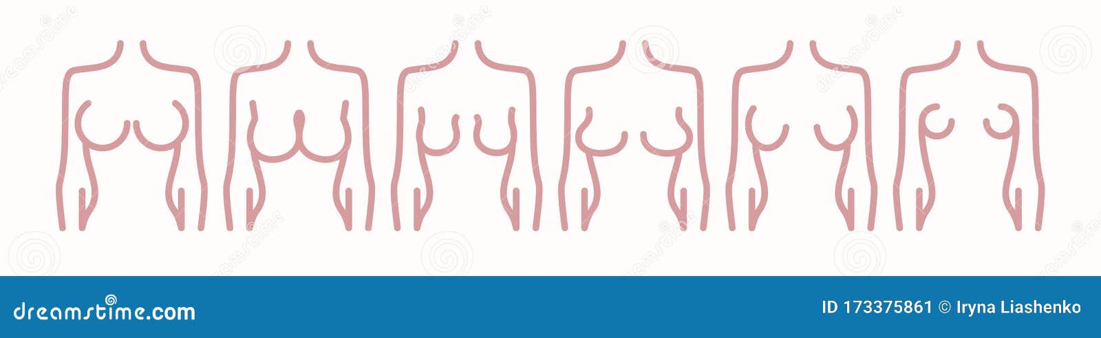 Different Types of Female Figures. Six Options for the Shape of the Female  Breast Stock Illustration - Illustration of anatomy, graphic: 173375861