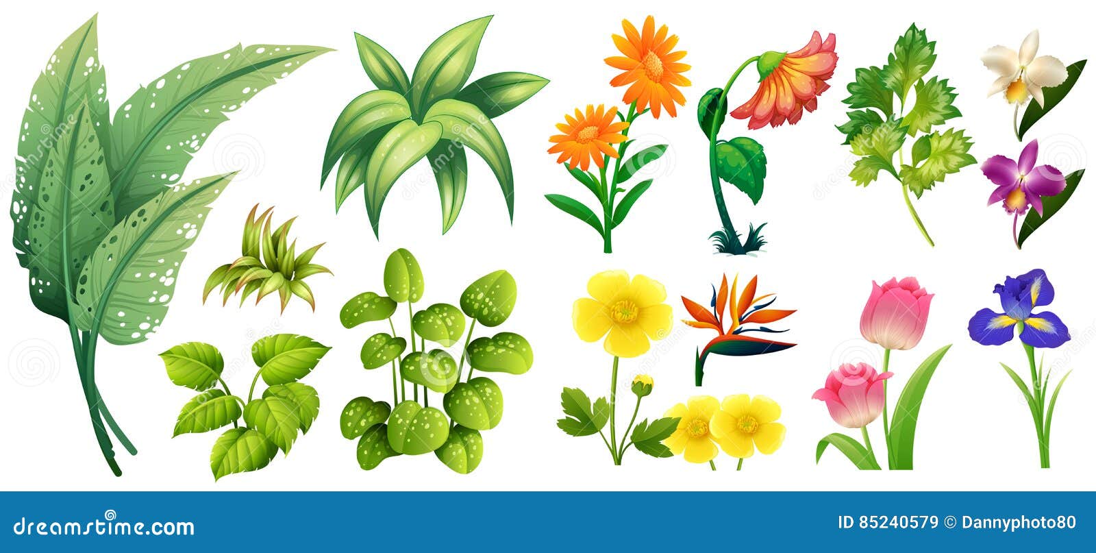 Different Types of Flowers and Leaves Stock Illustration ...