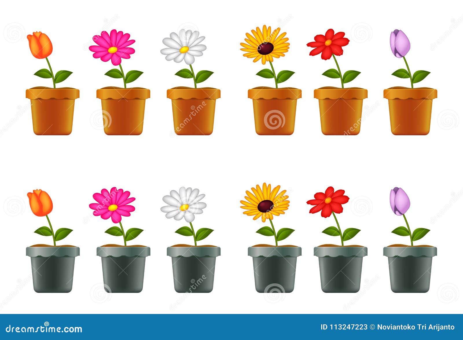 Different Types of Flowers in Pots Stock Vector - Illustration of ...