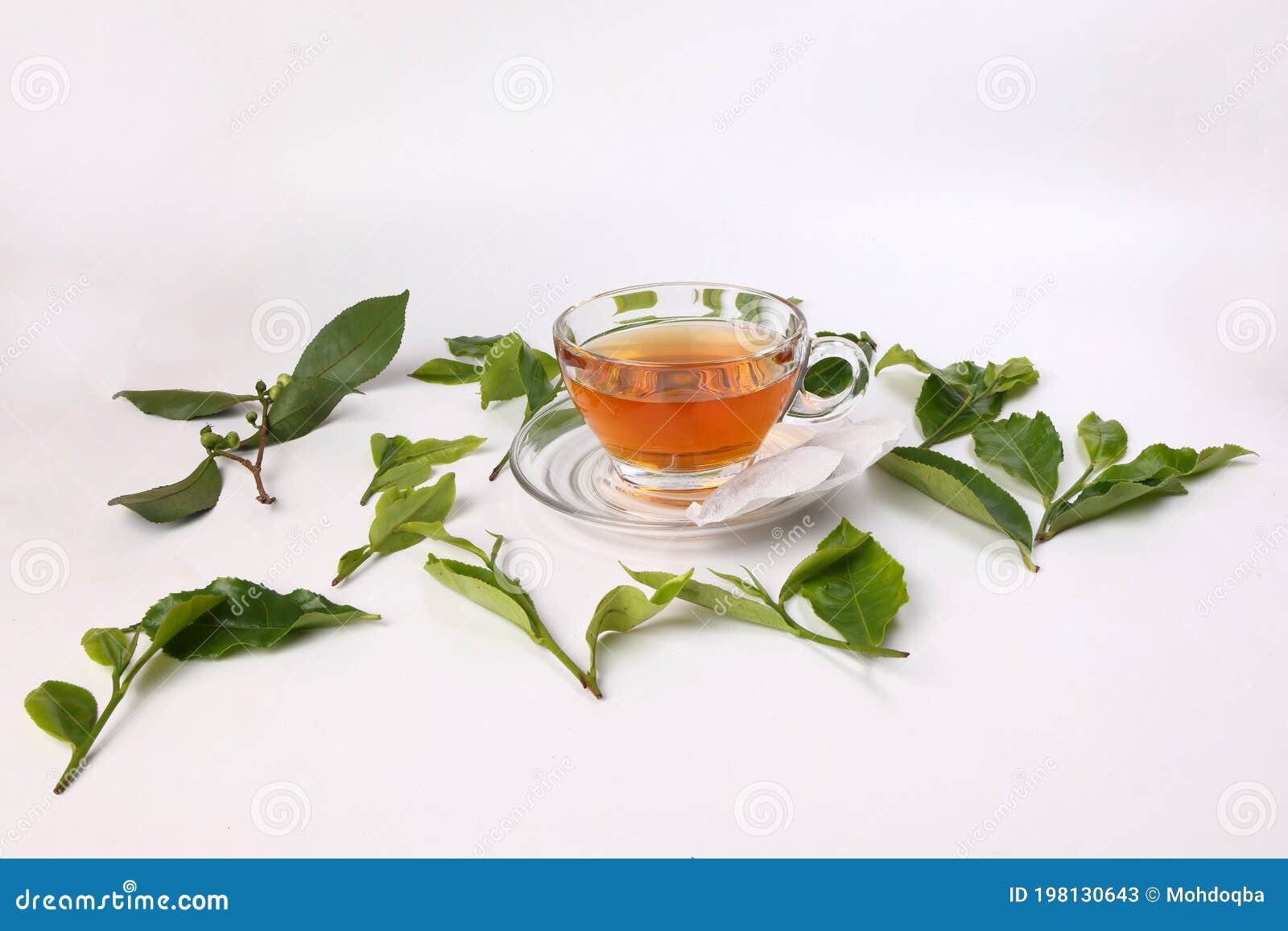 Raw Green Tea Leaf Flower Bud on White Background Stock Image - Image ...