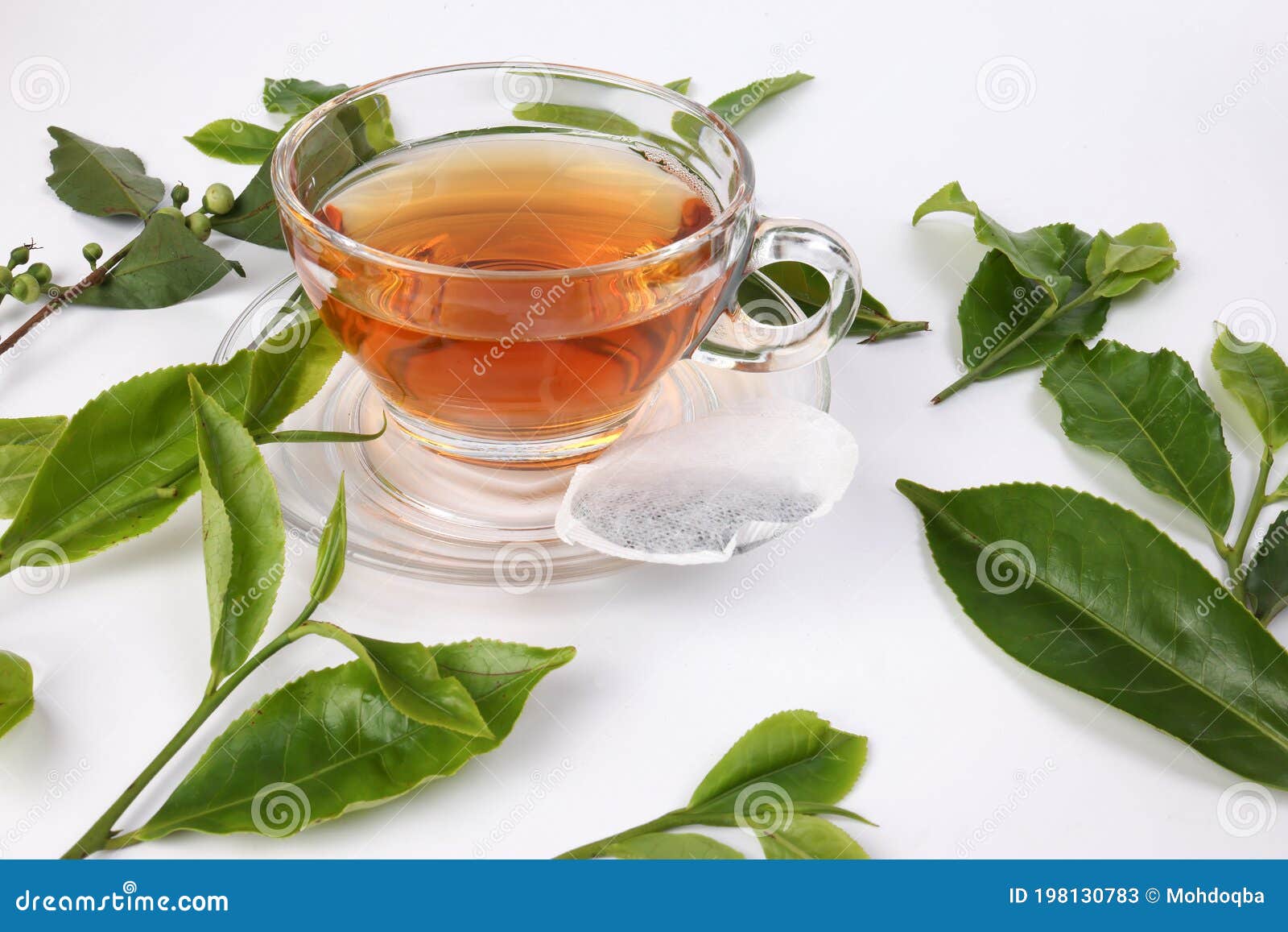 Raw Green Tea Leaf Flower Bud on White Background Stock Image - Image ...