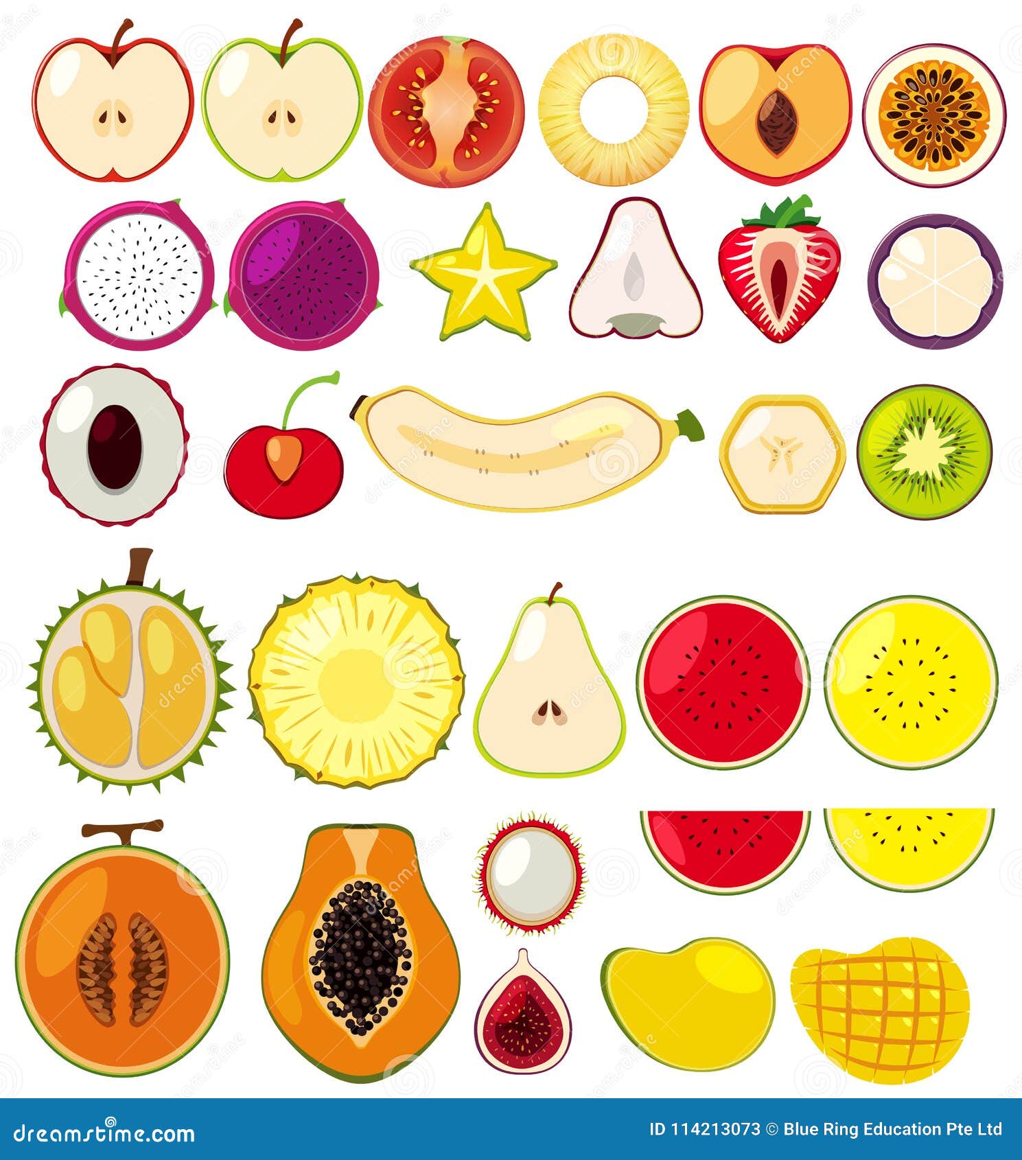 Different Types of Fruits Cut in Half Stock Vector Illustration of