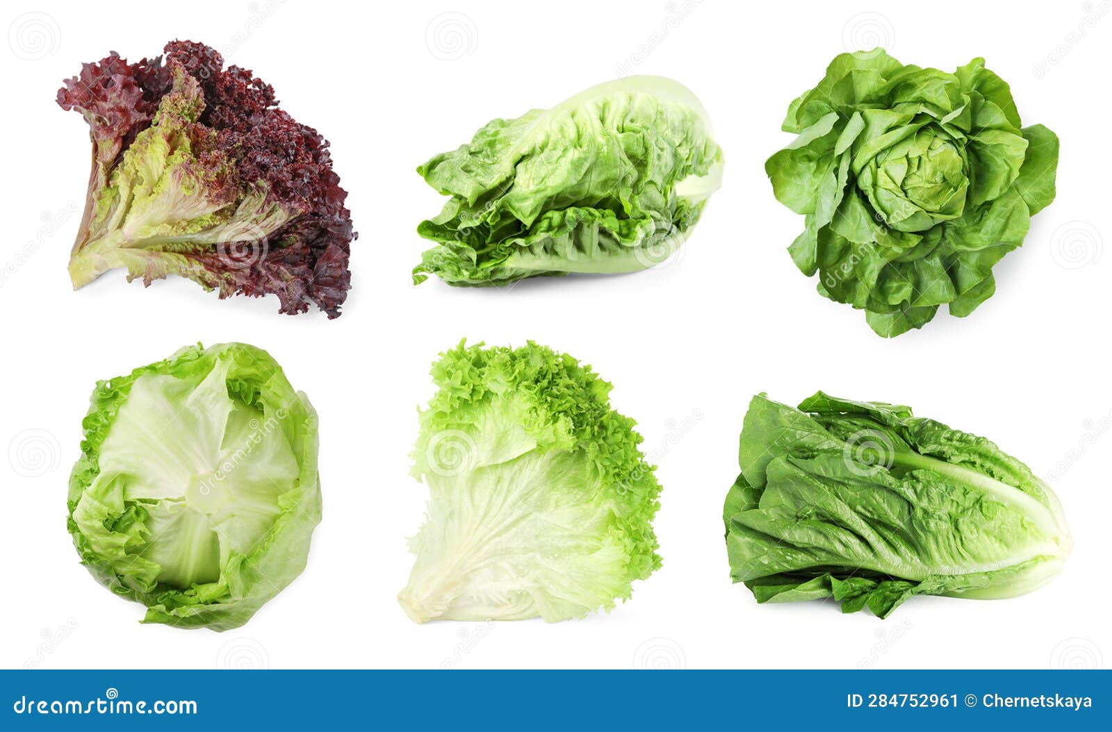 Different Types of Lettuce Isolated on White, Collage Design Stock