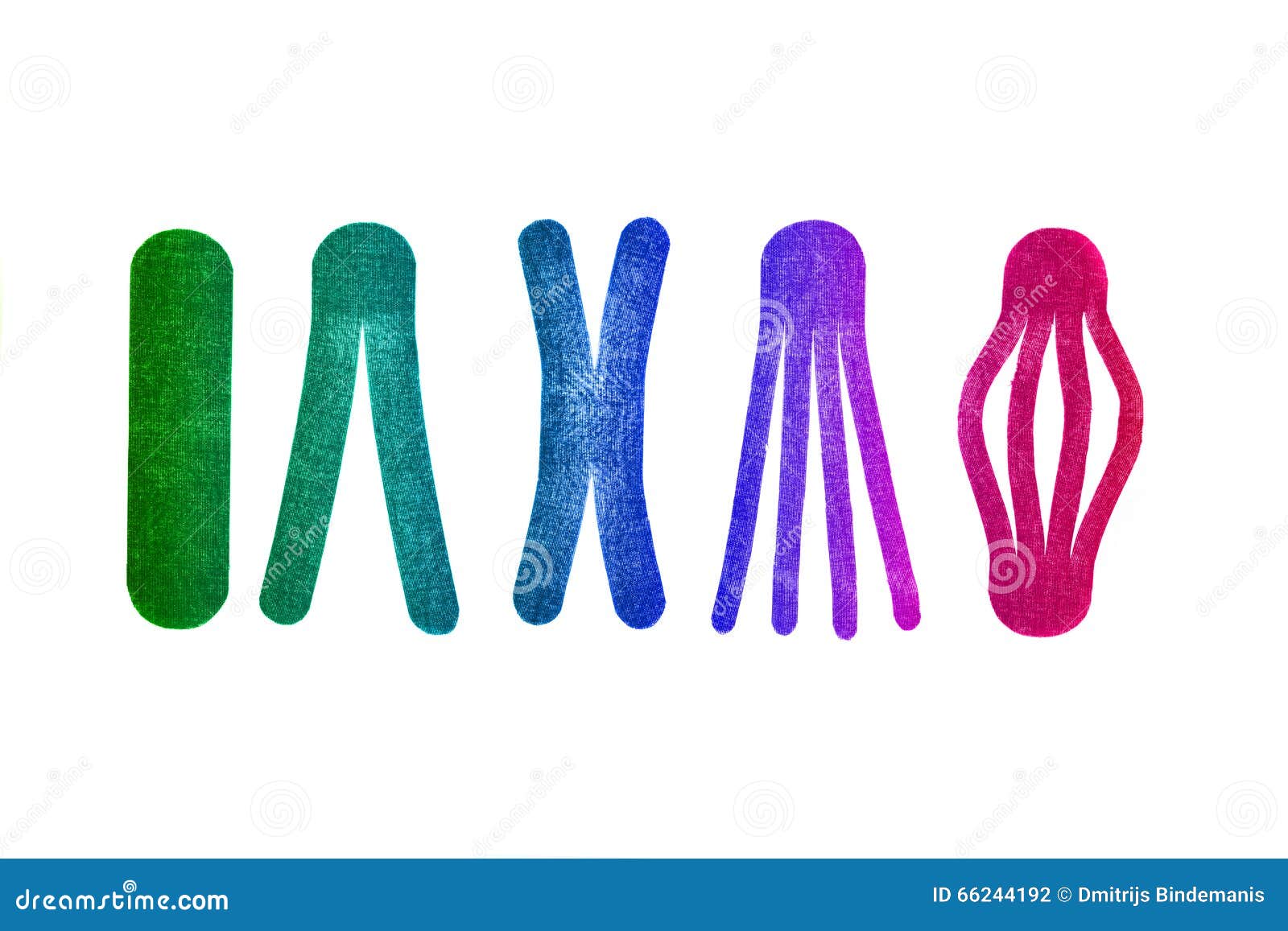 Different Types of Medical Tapes Stock Photo Image of isolated