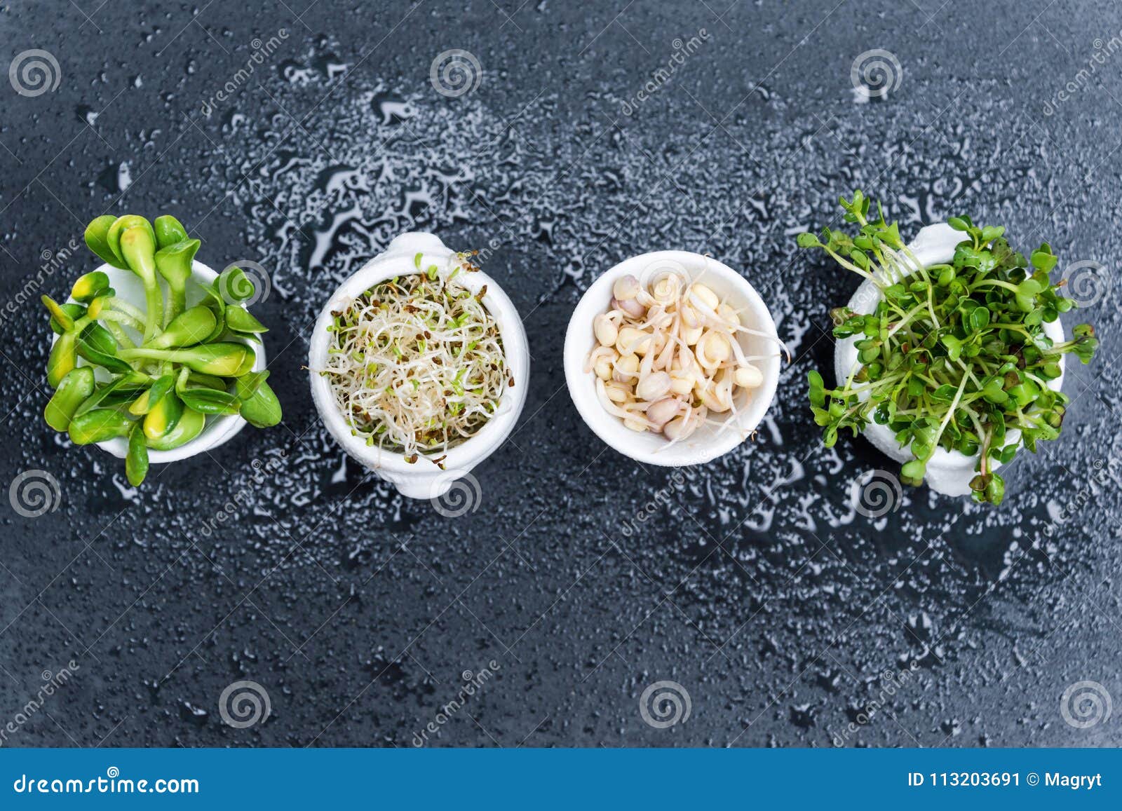 different types of micro greens in white bowls for sauces on wet slate background. fresh garden produce organically