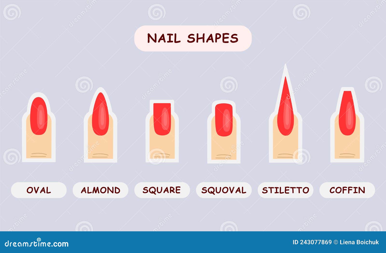 Nail Shape Guide for Beauty Shcool Vector Illustration Stock Vector ...