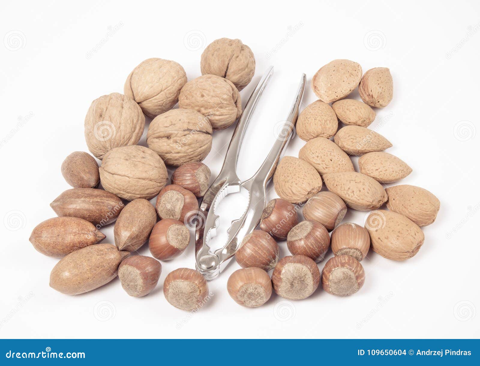 Different Types of Nuts in a Shell on a White Background. Stock Photo