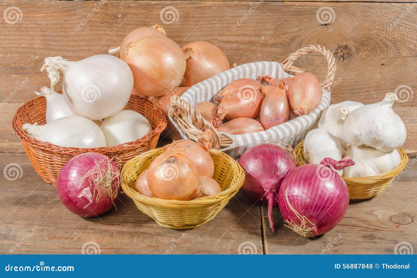 Different Types of Onions, Garlic and Shallots Stock Photo Image of white, alliaceous 56887848