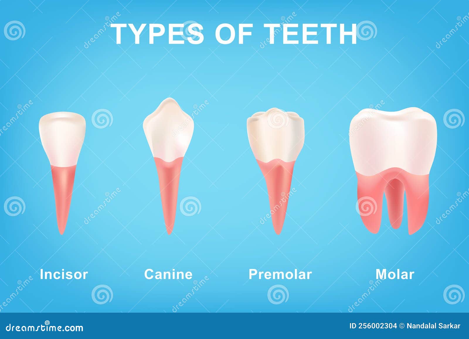 different-types-of-teeth-whitening