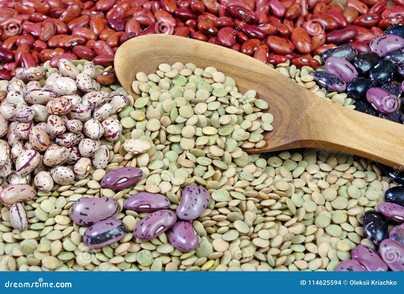 Different Varieties of Kidney Beans Stock Photo Image of organic