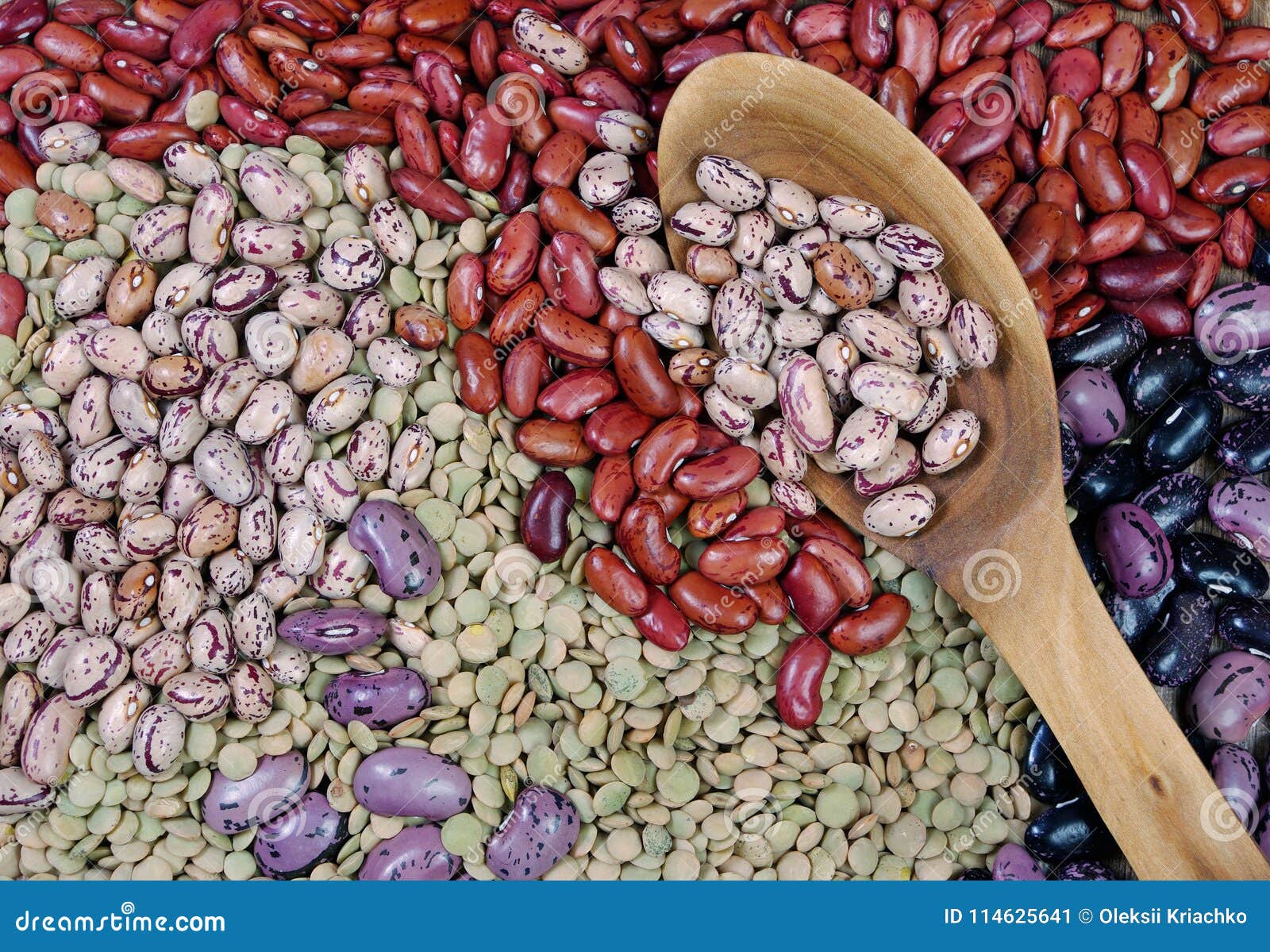 Different Varieties of Kidney Beans Stock Image Image of collection