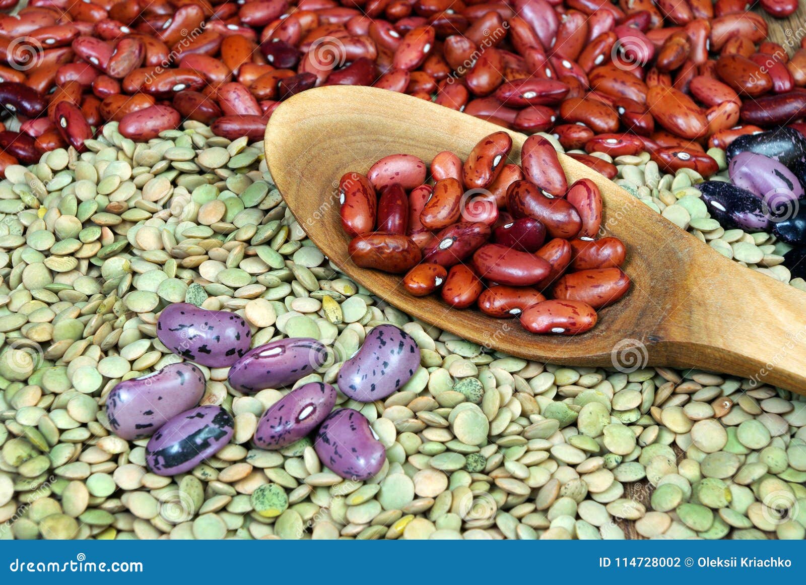 Different Varieties of Kidney Beans Stock Photo Image of harvest