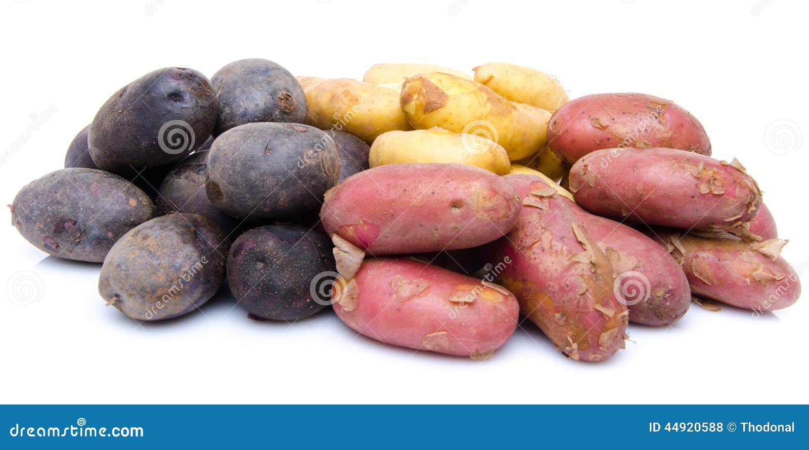 Different Varieties of Potatoes Stock Photo Image of harvest, group