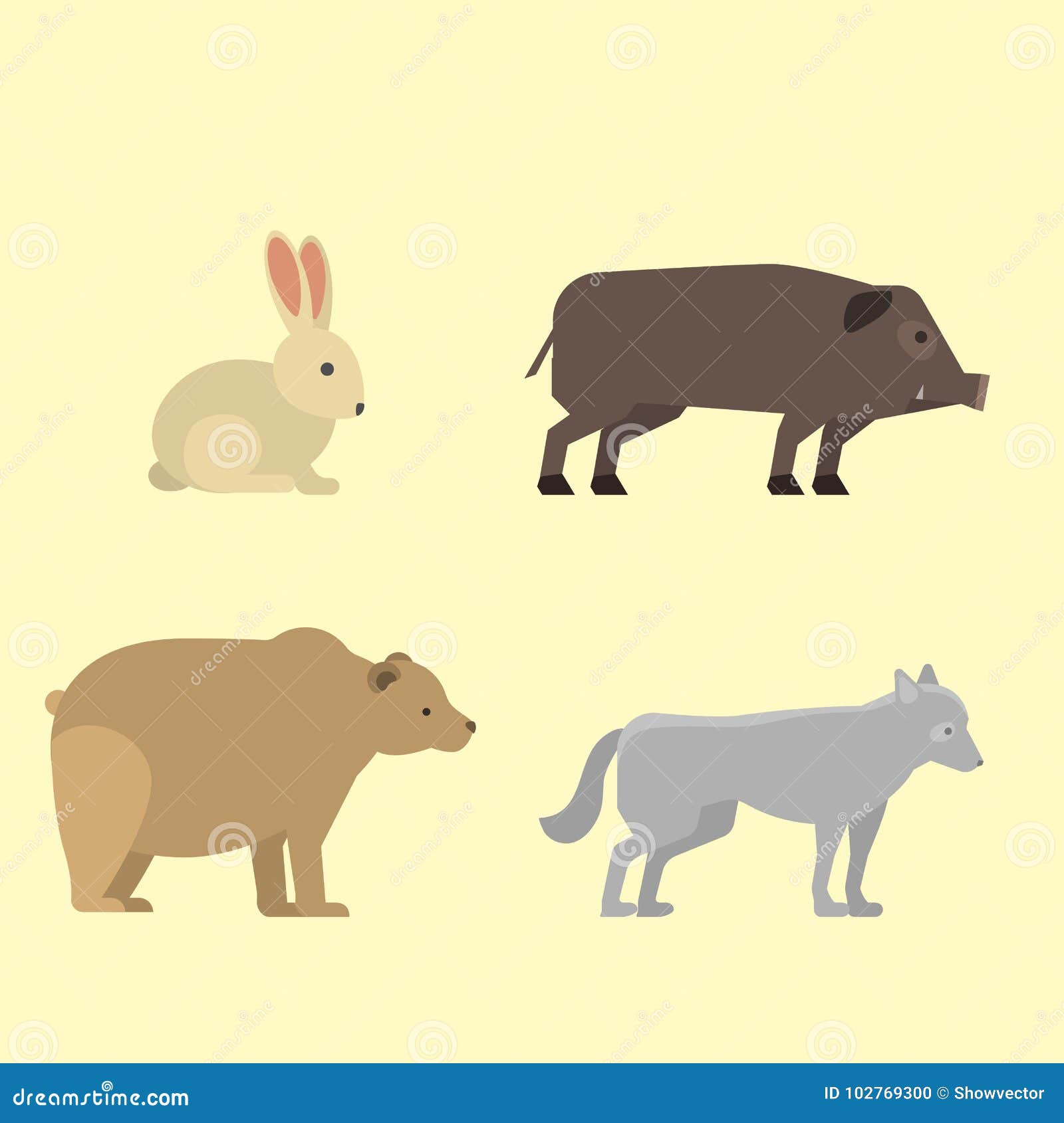 different wild animals dangerous vertebrate canine characters