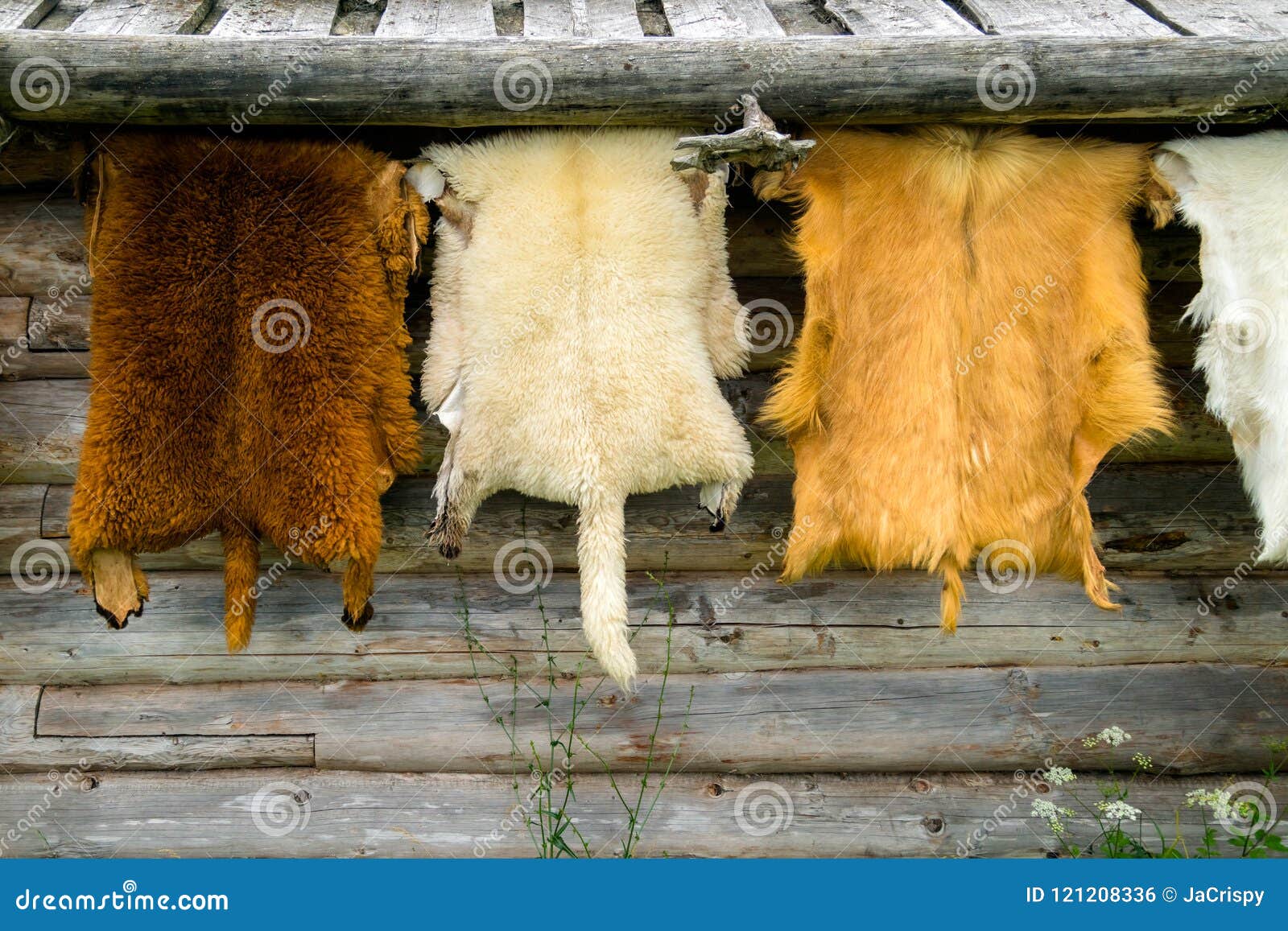 272,775 Animals Fur Stock Photos - Free & Royalty-Free Stock Photos from  Dreamstime